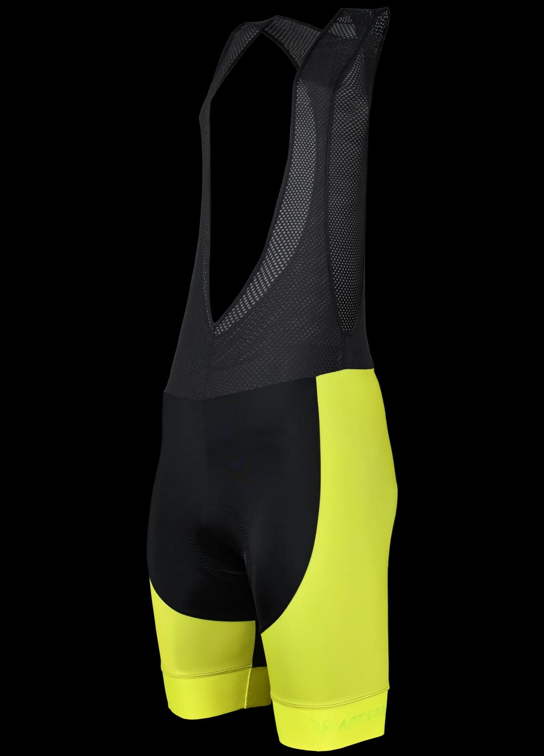 Formazione Bib Short